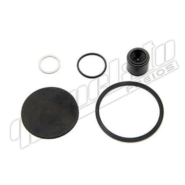  | REPARO VALVULA DESCARGA RAPIDA CARGO 2421/2422/F12/14000