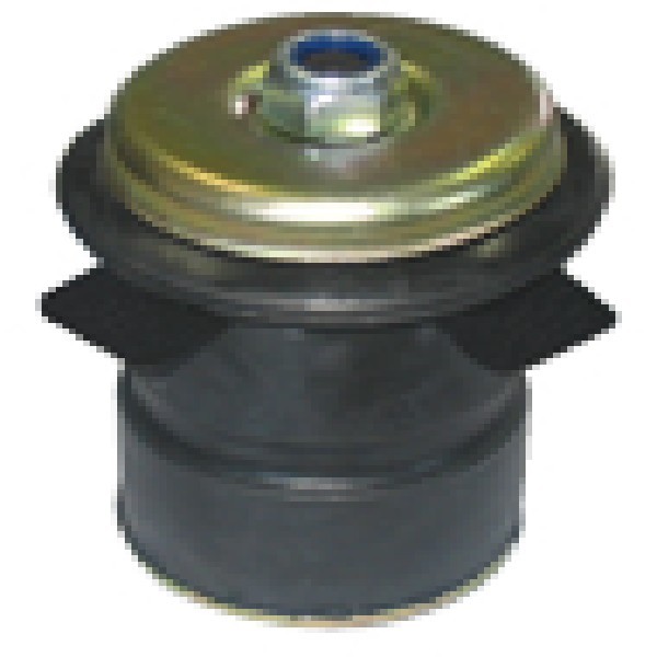  | COXIM CABINE DT TR MB 709/710/912/1618/1935 16MM