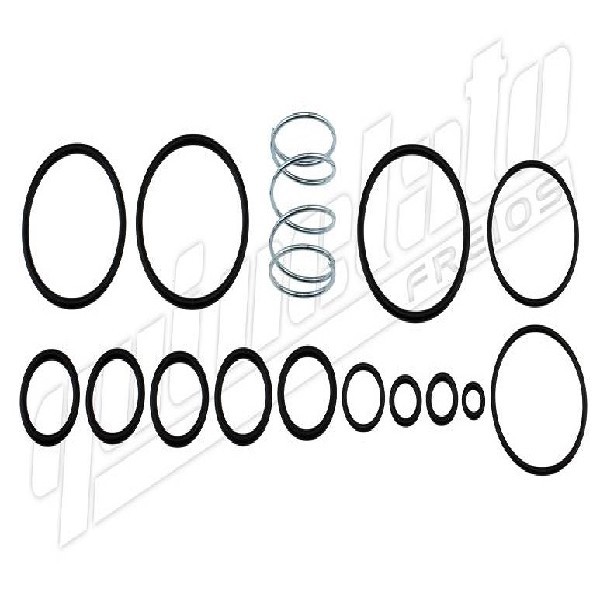  | REPARO PARCIAL VALVULA EMERGENCIA CARRETA