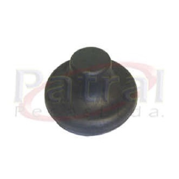  | GUARDA PO PINO CONICO CENTRAL TOYOTA BANDEIRANTES