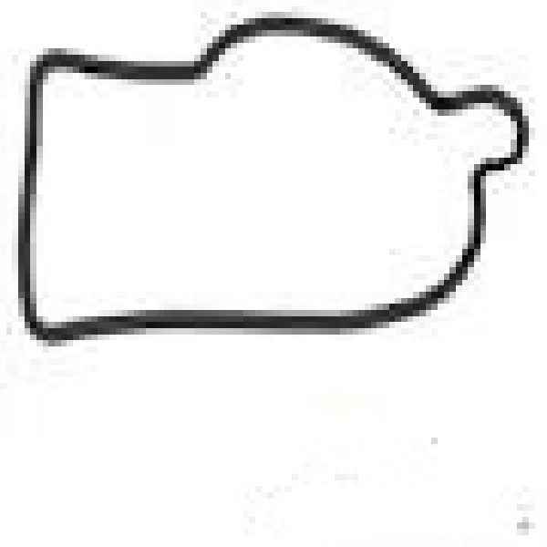  | ANEL VEDACAO VALVULA TERMOSTATICA VOLVO FH/NH ./98