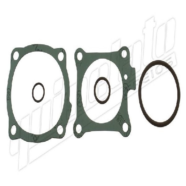  | REPARO TRANSFERENCIA CAMBIO EATO NF11E316DLSE/FO16E318BMXP CARGO/VW/INTERNATIONAL