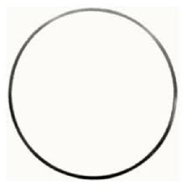  | CALCO CAMISA NL12 TD122F/122FS/123  0,20