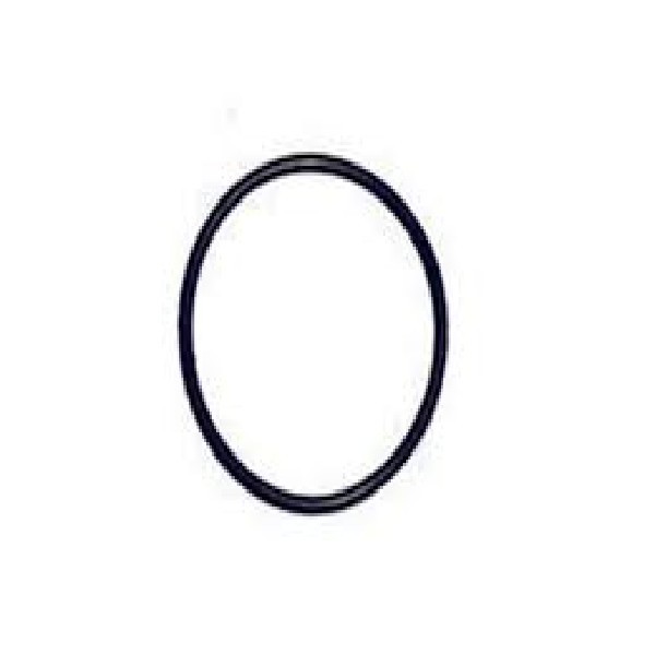  | ANEL VEDACAO TUBO CAVALETE AGUA VOLVO NL10/NL12