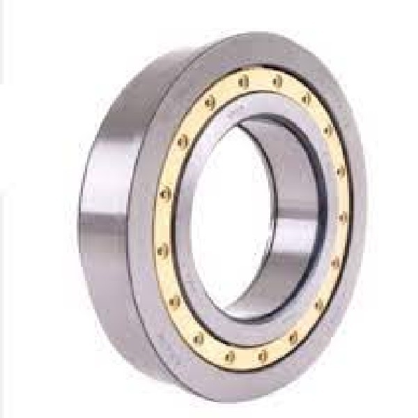  | ROLAMENTO TR CAIXA CAMBIO ZF 16S1300 60X130