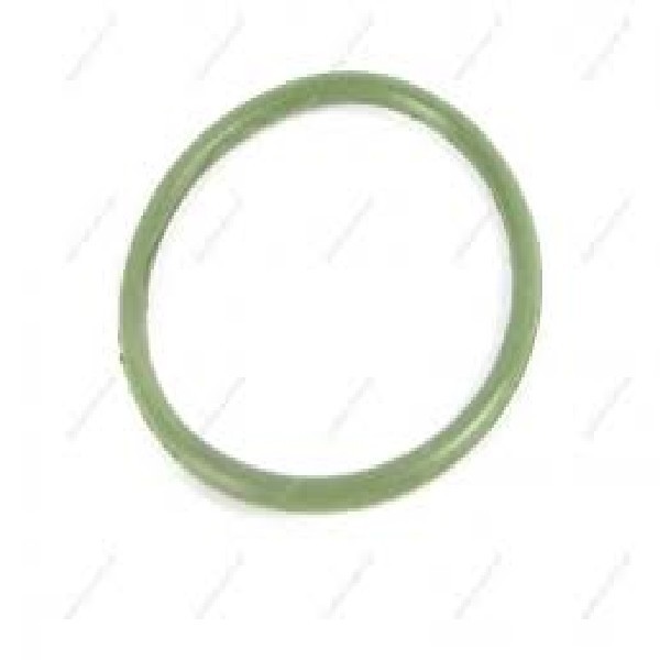  | ANEL RADIADOR OLEO STRALIS