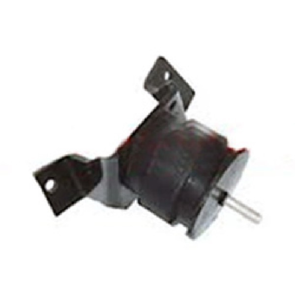 | COXIM DT MOTOR DAILY ./07 LD