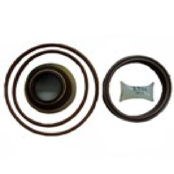  | REPARO CANECO REDUZIDA CAIXA CAMBIO ZF 16S221/16S228 STRALIS / VW