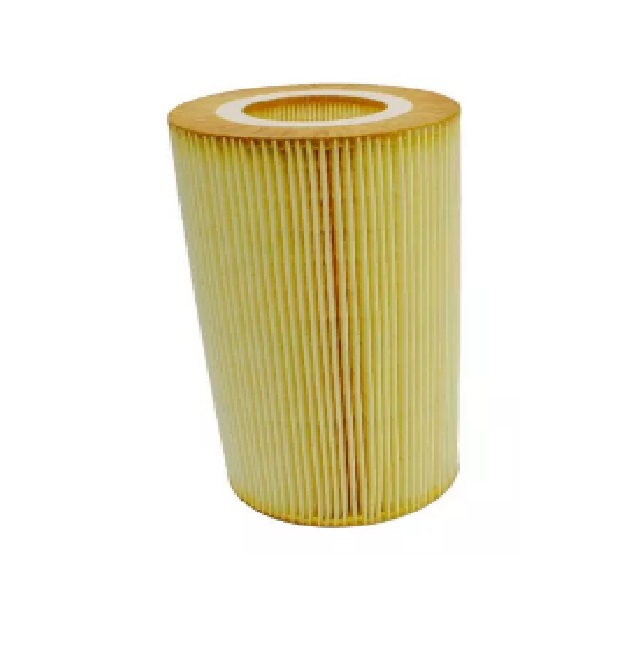  | FILTRO LUBRIFICANTE DAF XF105 15/.