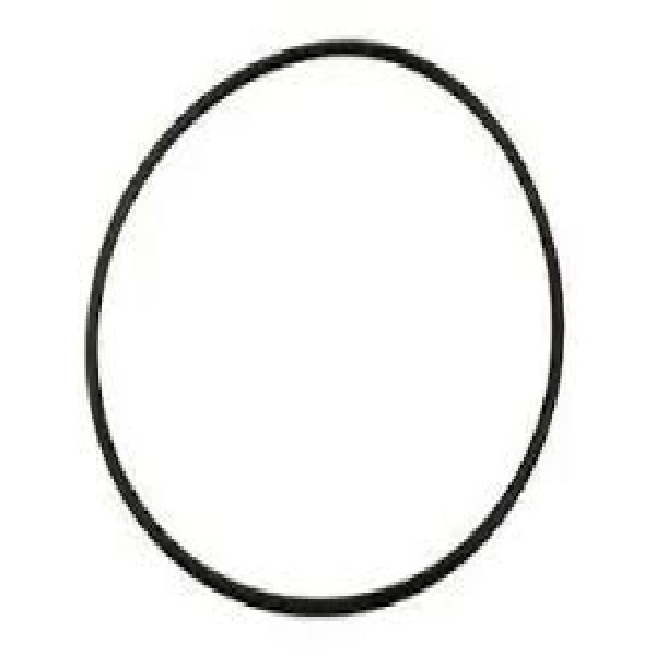  | ANEL VEDACAO FILTRO ROTATIVO SC 112/113/124 131MM