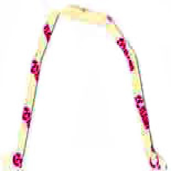  | JUNTA TAMPA TR MOTOR CUMMINS C