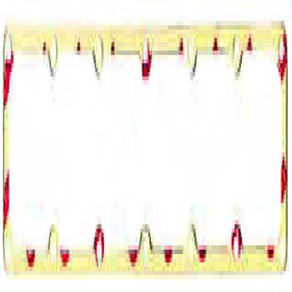  | JUNTA COLETOR ADMISSAO CUMMINS B / ISB 4 CIL