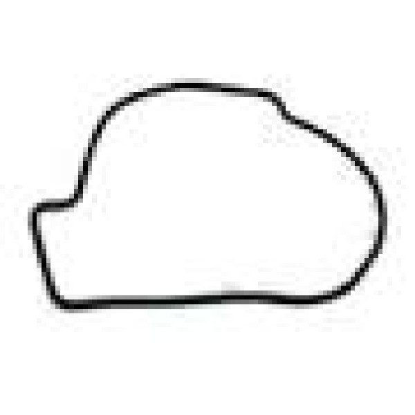  | ANEL VEDACAO VALVULA TERMOSTATICA VOLVO FH/NH ./98