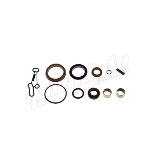  | REPARO VALVULA POSICIONAMENTO VW MAN TGX/STRALIS/DAF XF95X