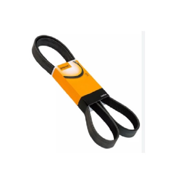  | CORREIA ALTERNADOR VW 17250/24250/CONSTELLATION ISB C/AR