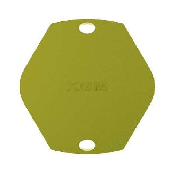  | TAMPA TR COMPRESSOR AR SC 124/S4/MB/STRALIS  C/ JUNTA