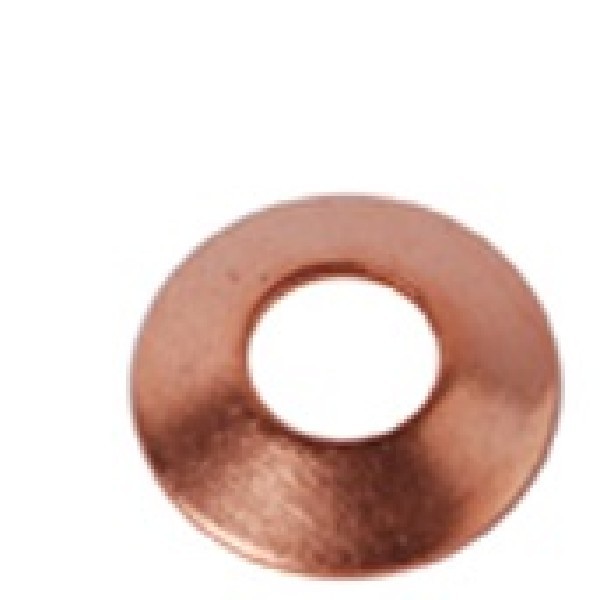  | ARRUELA CONICA CANO BICO INJETOR MB/SC