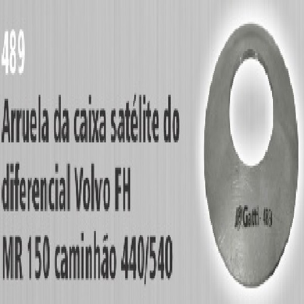  | ARRUELA SATELITE DIFERENCIAL FH 440/460
