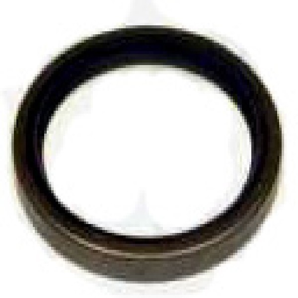  | RETENTOR PINHAO INTERNO MB 1418/1618/1620/2325 HL5Z