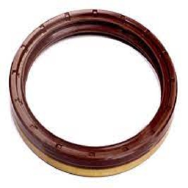  | RETENTOR PINHAO F2000/4000 81/VW 690/790/5140/ DAILY 47,6X80,3X6,5