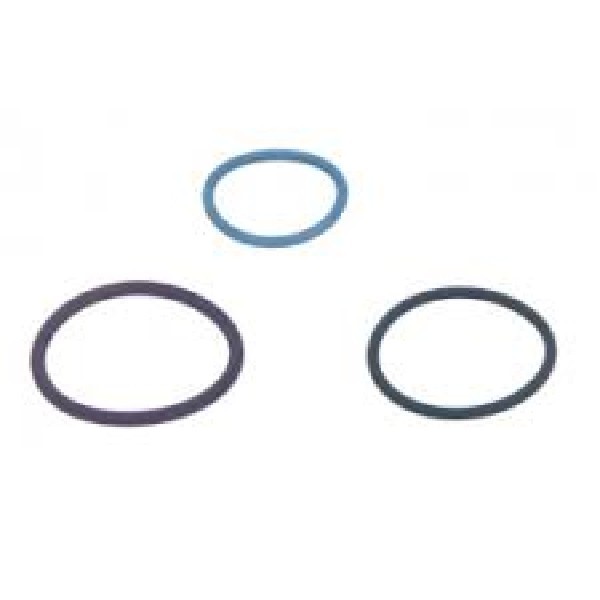  | ANEL BICO INJETOR SC 114/124/S4 02/. - ORIGINAL