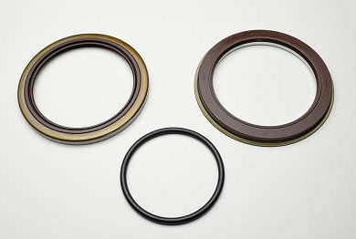  | RETENTOR CUBO DT VM/FH/FM KIT C/2 RET 01 ANEL