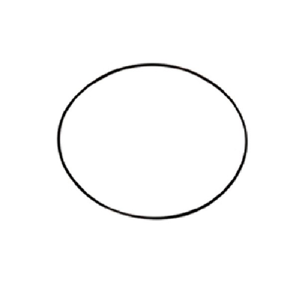  | ANEL VEDACAO BOMBA INJETORA SC 114/124/S4/S5 MAIOR