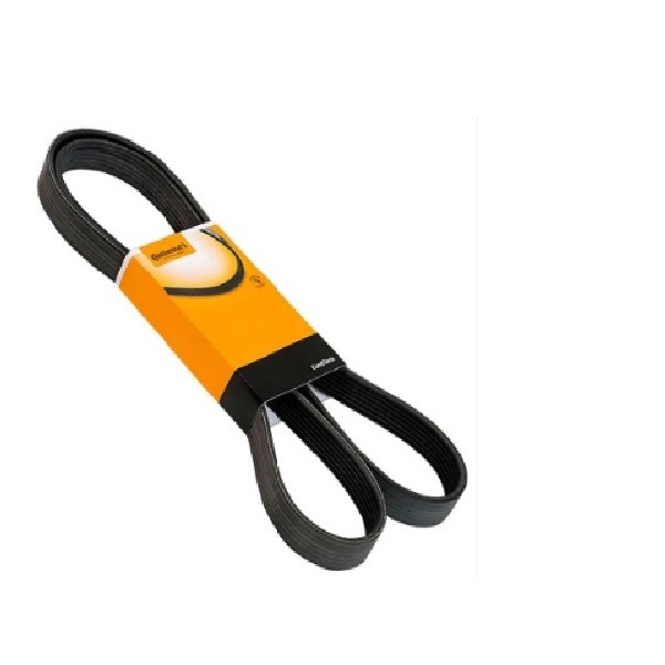  | CORREIA ALTERNADOR SC 124 S5 EVOLUCAO