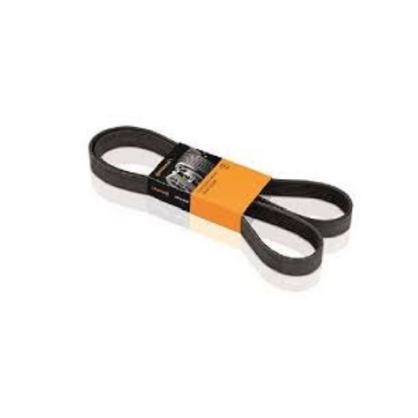  | CORREIA ALTERNADOR CARGO 4432/SC 124 08/. C/AR